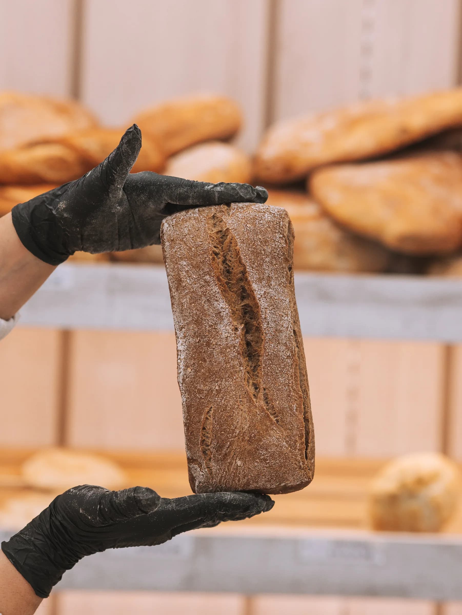 Pane in cassetta scuro appena sfornato